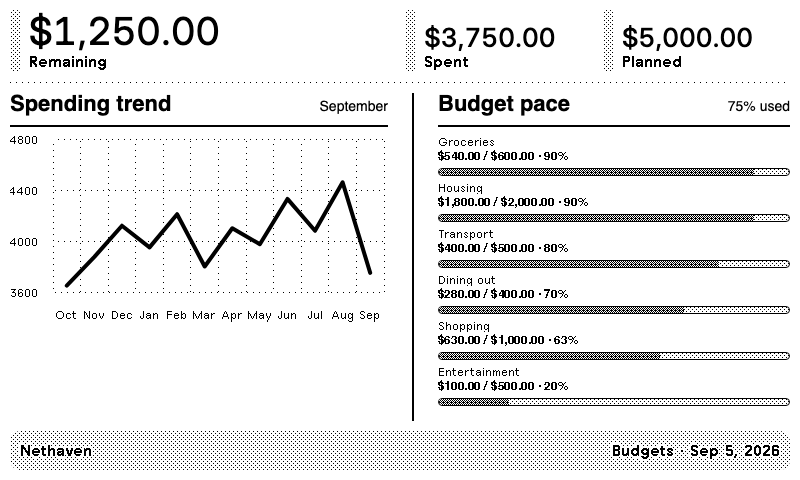 Nethaven Budgets screen on TRMNL with sample planned spending, remaining money, and category progress bars.
